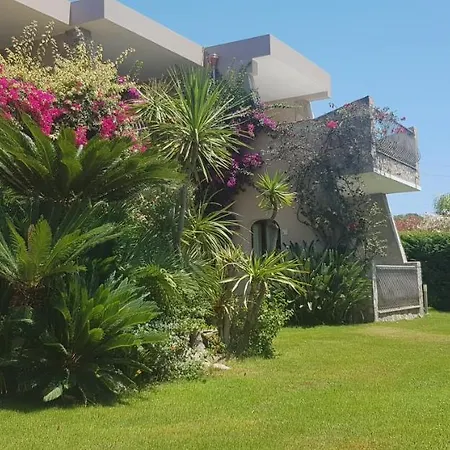 Palm Village アパートホテル