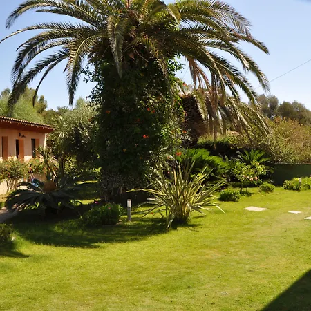 Palm Village