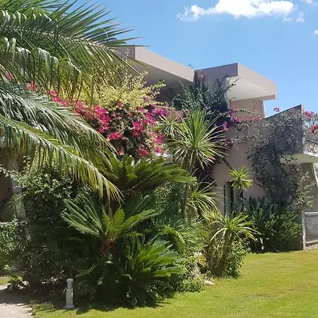 Aparthotel Palm Village