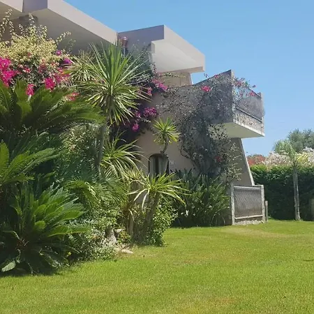 Palm Village 3*
