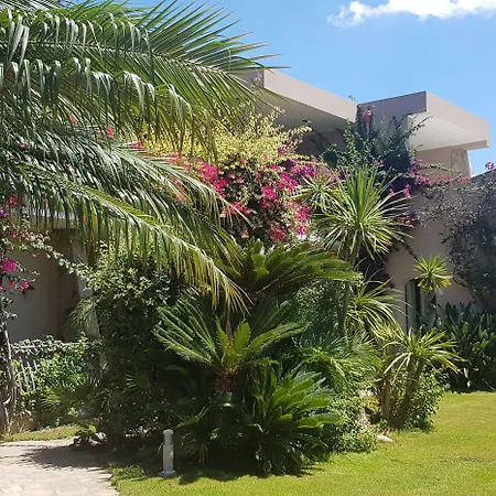 Palm Village 3* Вилласимиус