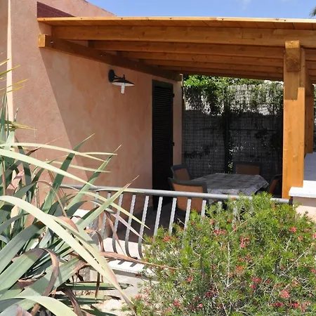Palm Village 3*
