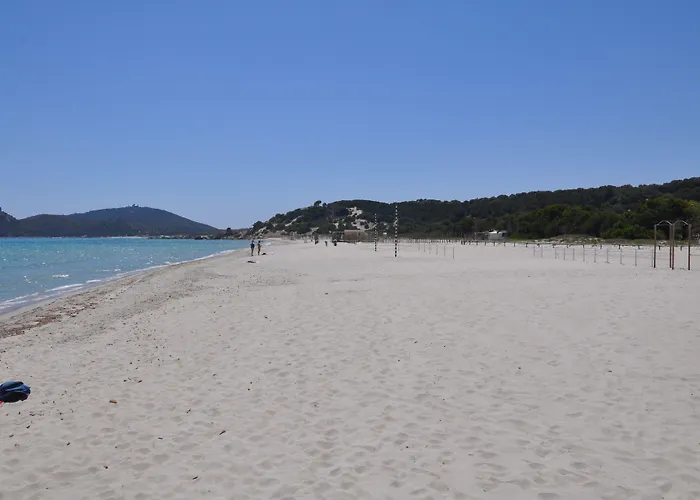 Palm Village 3*