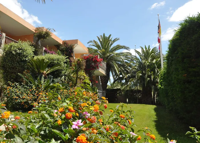 Palm Village